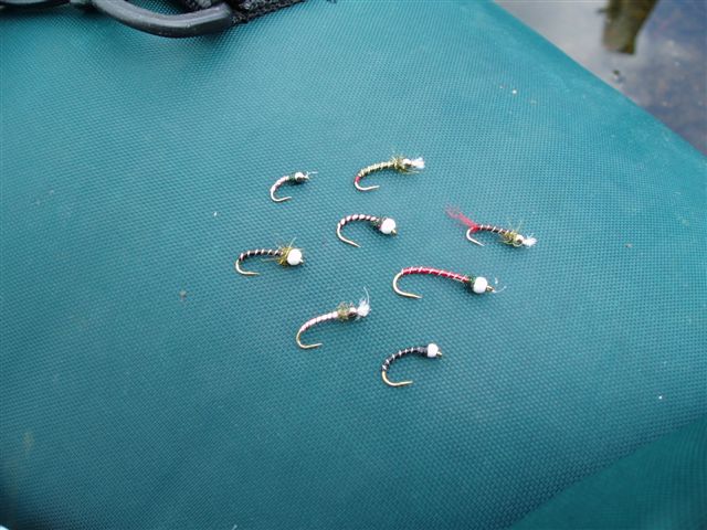 Fish 075.jpg